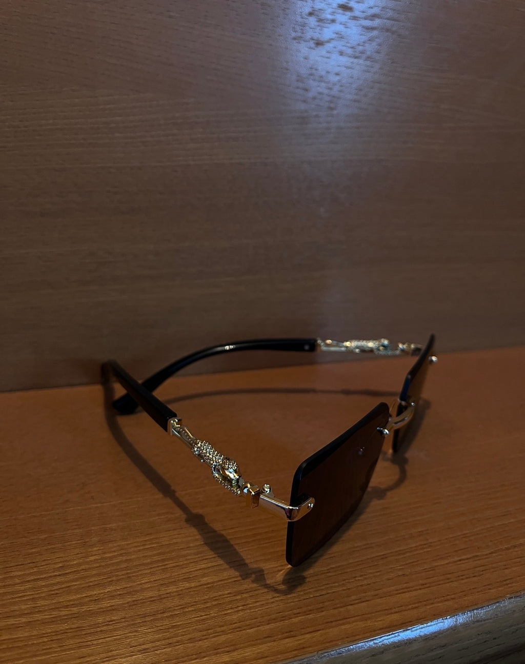 Ochelari de soare V2